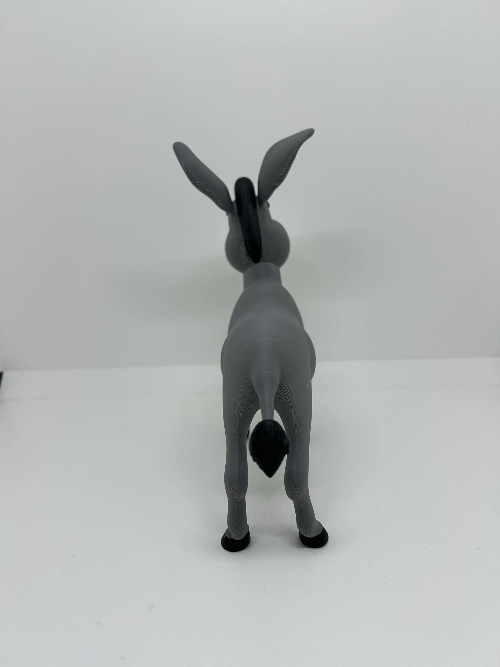 Burrinho – photo 3